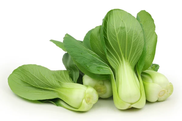 Pok choi bladeren — Stockfoto