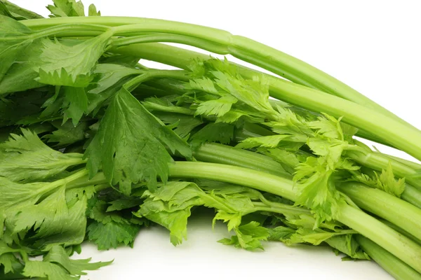 Celery bunch — Stock Photo, Image