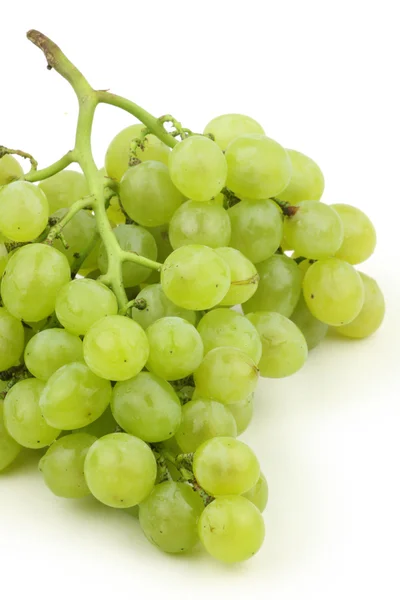 Uvas jugosas — Foto de Stock