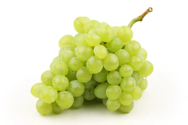 Soczyste winogrona — Zdjęcie stockowe