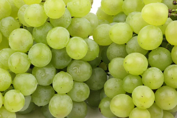 Uvas jugosas — Foto de Stock