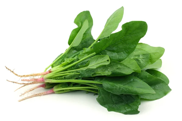 Grappolo di spinaci — Foto Stock