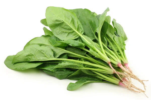 Green spinach — Stock Photo, Image