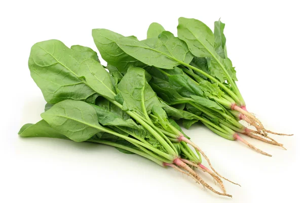 Clear spinach — Stock Photo, Image