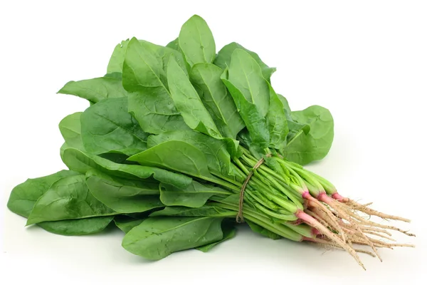 Organic spinach — Stock Photo, Image