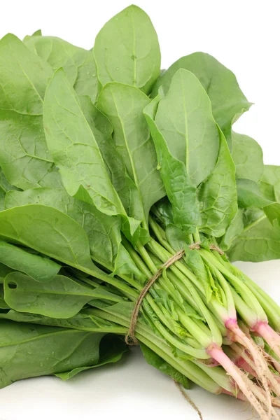 Spinach tied the rope — Stock Photo, Image