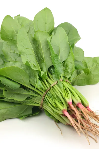 Spinach tied the rope — Stock Photo, Image