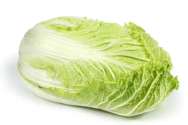 Chinese cabbage — Stock Photo, Image