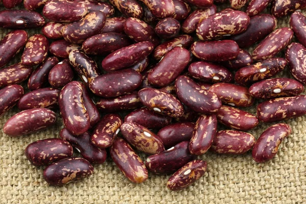Flower rice beans — Stock Photo, Image