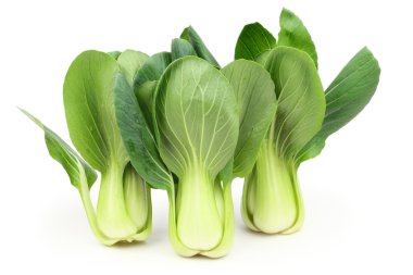 Yeşil pok choi