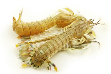 çiğ mantis karides