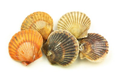 Çiğ deniz tarağı