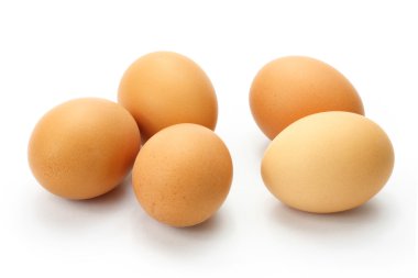 kahverengi yumurta