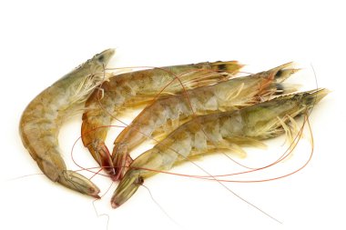 haşlanmış karides