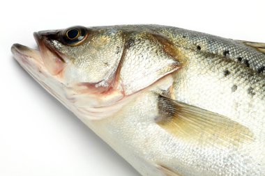 mandalina balık kafası