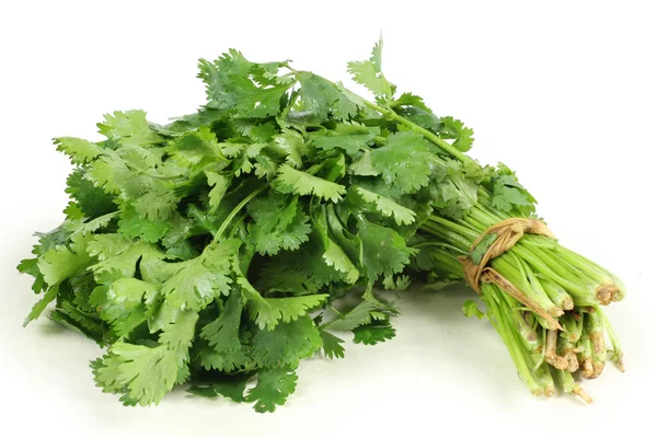 Parsley bunch — Stock Photo, Image