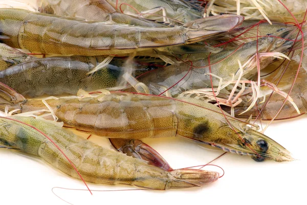 Tiger shrimps — Stock Photo, Image