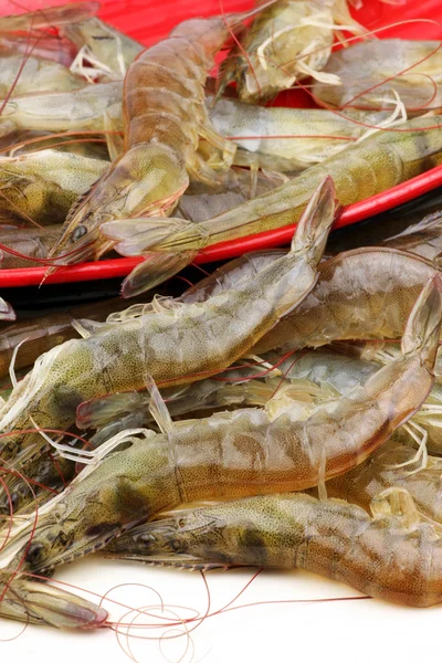 Plate of Shrimps — Stock Photo, Image