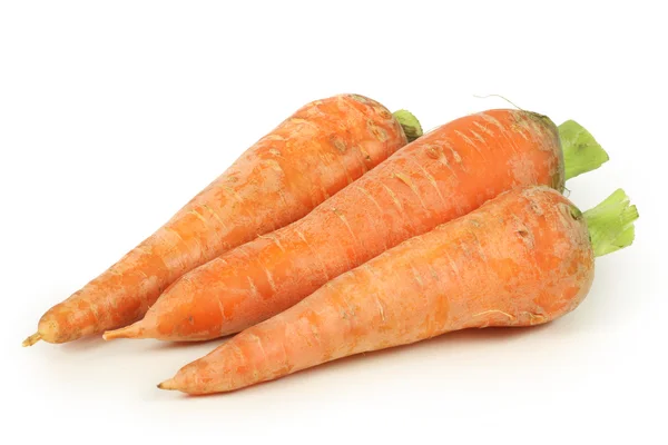 Fresh carrots — Stock Photo, Image