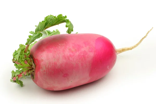 Natural radish — Stock Photo, Image
