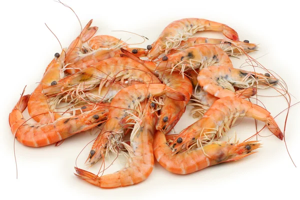 Boiled shrimps — Stock Photo, Image