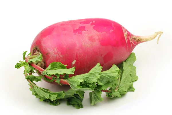 Fresh radish — Stock Photo, Image