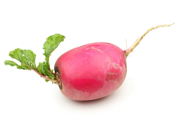 Fresh radish — Stock Photo, Image