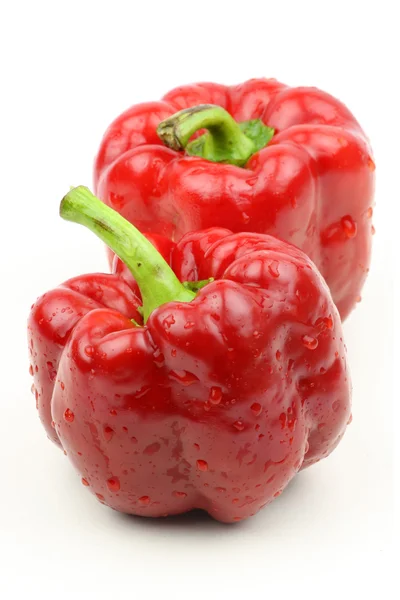Mokré papriky — Stock fotografie