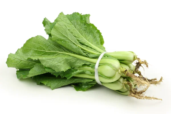 Chinese cabbage — Stock Photo, Image