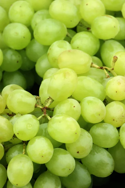 Bunch of  grapes — Stock Photo, Image