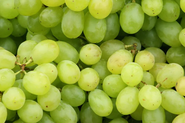 Smaczne winogrona — Zdjęcie stockowe