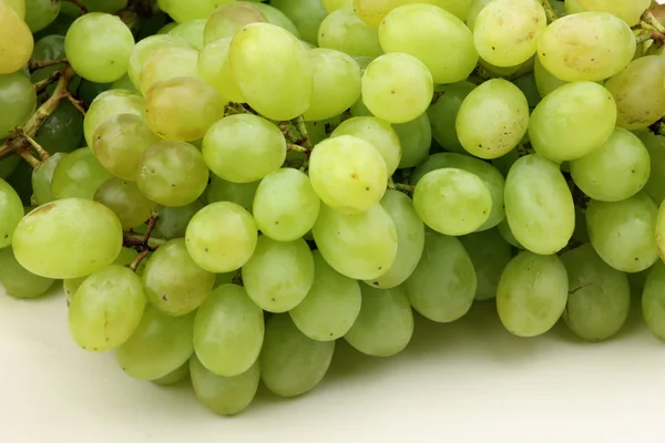 Saftige grønne druer - Stock-foto
