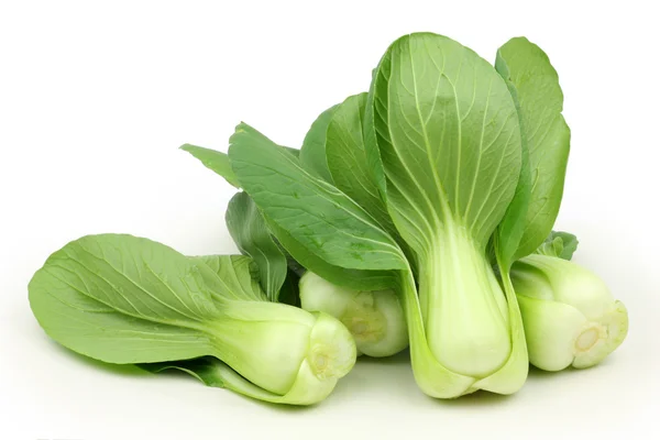 Grüner Pok Choi — Stockfoto