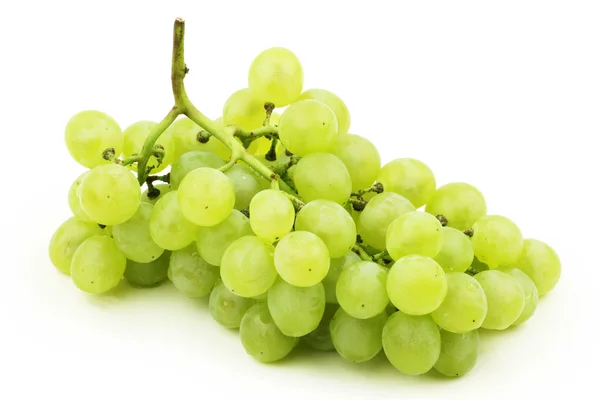 Cacho de uvas — Fotografia de Stock