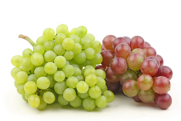 Various grapes — Stock Photo, Image