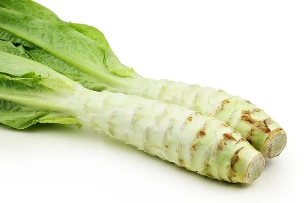 Asparagus lettuce — Stock Photo, Image