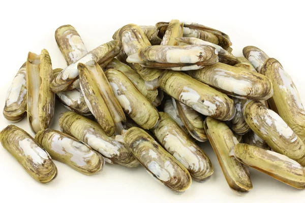 Razor musslor heap — Stockfoto