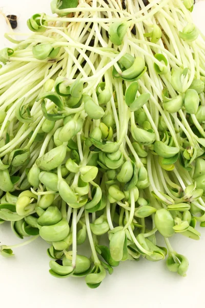 Black bean sprouts heap — Stock Photo, Image