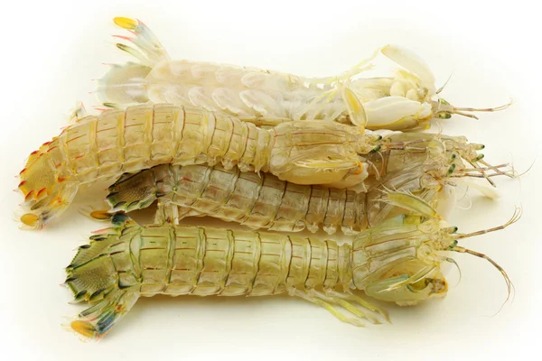 Raw Mantis Shrimps — Stock Photo, Image