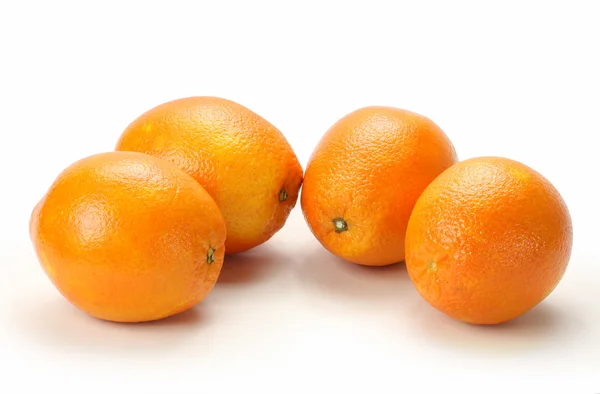 Tropische Orangen — Stockfoto