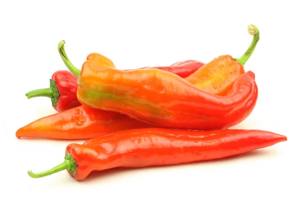 Néhány chili paprika — Stock Fotó