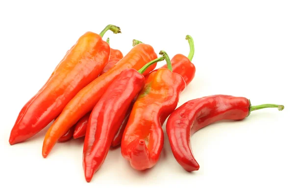 Friss chili paprika — Stock Fotó