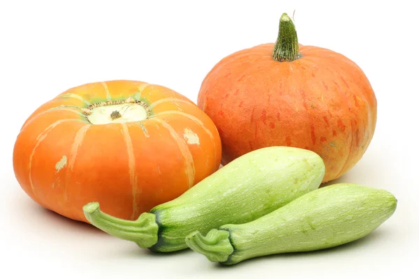 Pumpkins with squashes — Stock Photo, Image