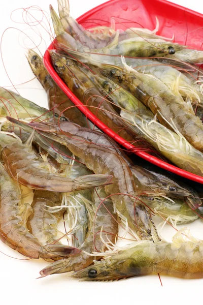 Crevettes dans un bol — Photo