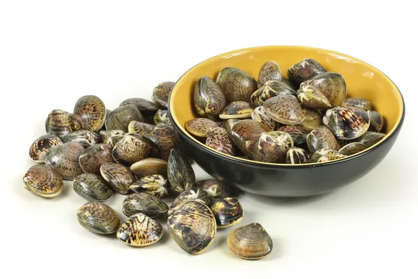 Clams in bowl — Stock Photo, Image