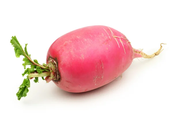 Fresh radish — Stock Photo, Image