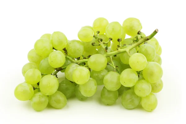 Stam van druiven — Stockfoto