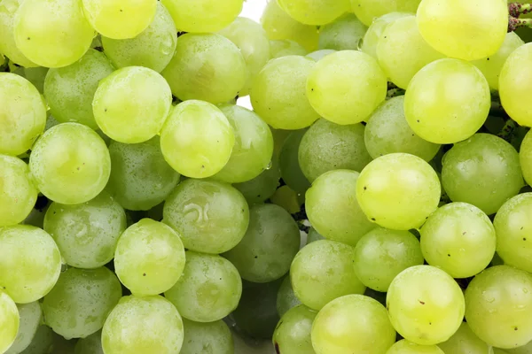 Green grapes — Stock Photo, Image