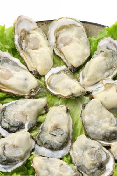 Raw opened oysters — Stock Photo, Image