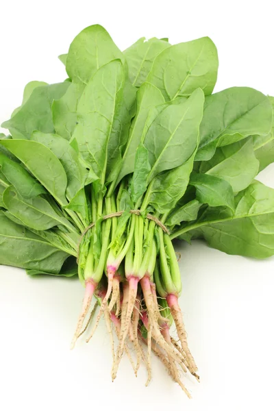 Spinach bunch — Stock Photo, Image